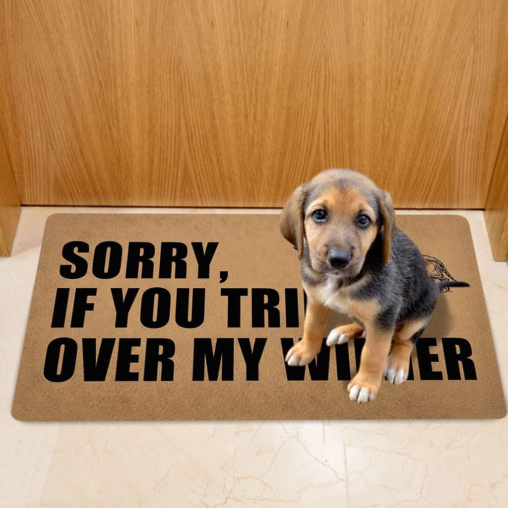 Non- Door Mat, Indoor And Outdoor Carpet, Home Welcome Mat