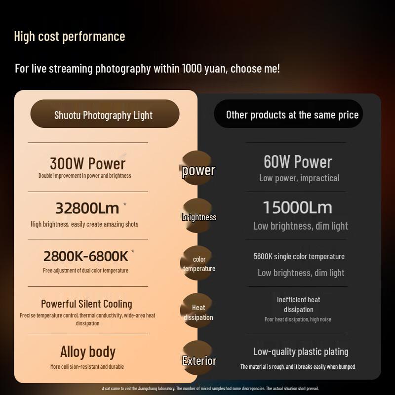Professional 300W COB LED Studio Video Light
