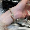 Brățară cu Cataramă Inimă din Zirconiu Placată cu Aur de 18K - Bijuterie Elegantă pentru Femei