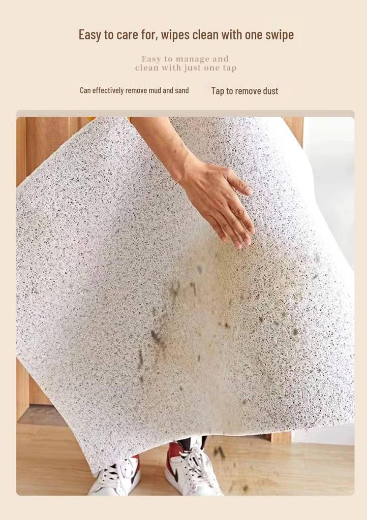2026 New Style Silk Loop Anti-slip Door Mat for Home Use