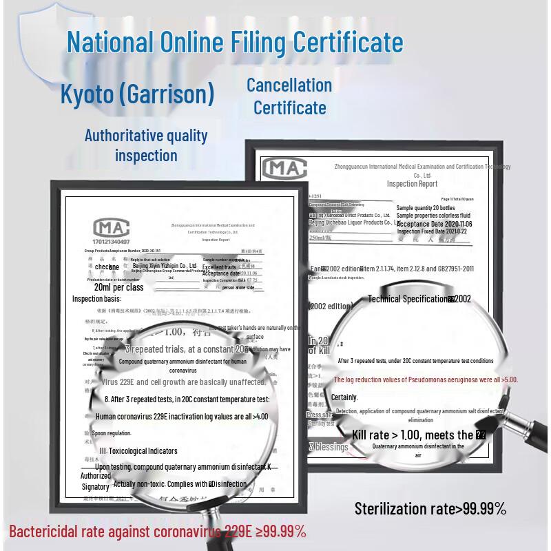 Xidebao Alcohol-Free Foaming Hand Sanitizer