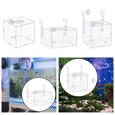 Fische & Meerestiere – Aquarien