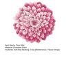 Flower Shape Floor Mat Floral Living Room Rug Non Slip Bath Mat Dahlia Rose Peony Lotus Rug for Bathroom Bedroom Dorm Nursery Kitchen