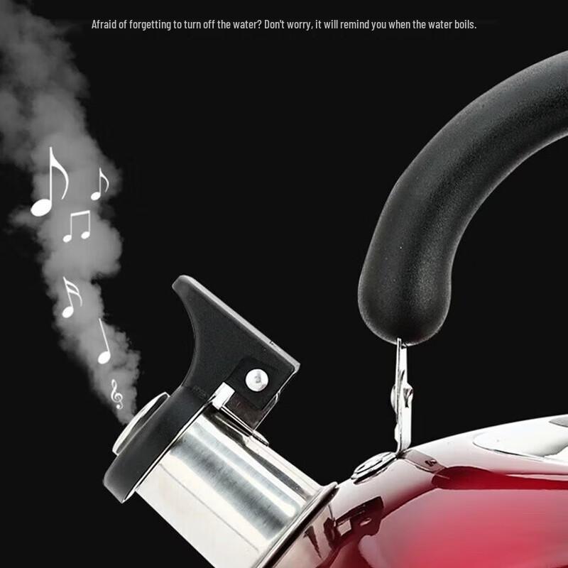 MAXCOOK 4L 304 Stainless Steel Whistling Kettle