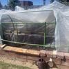 Couverture de serre Filet de protection pour plantes en PE Protection de jardin Bâche de serre Pour Porche Arrière-cour Cour Extérieur Terrasse