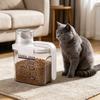 Little Household Canister With See Through Body And Slip Resistant Bottom Ideal For Storing Dry Pet Meals