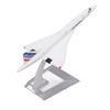 Airplane Model Toy High Simulation Long Lasting Collection Die Cast Alloy Aircraft Model 6.1in Length