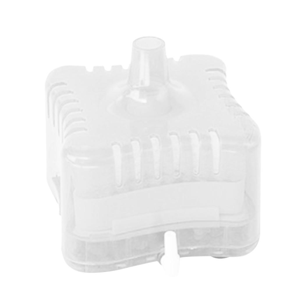Fish Aquarium  Stone While Making Blister Help Filter Water
