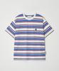 DTHIRTYONE Multi-Stripe Short Sleeve T-Shirt (Blue & Ivory)
