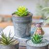 1PC Nordic Retro Tin Metal Succulent Flower Pot Flower Bucket Iron Barrel Dried Flowers Fresh Pastoral Make Old Tin Flower