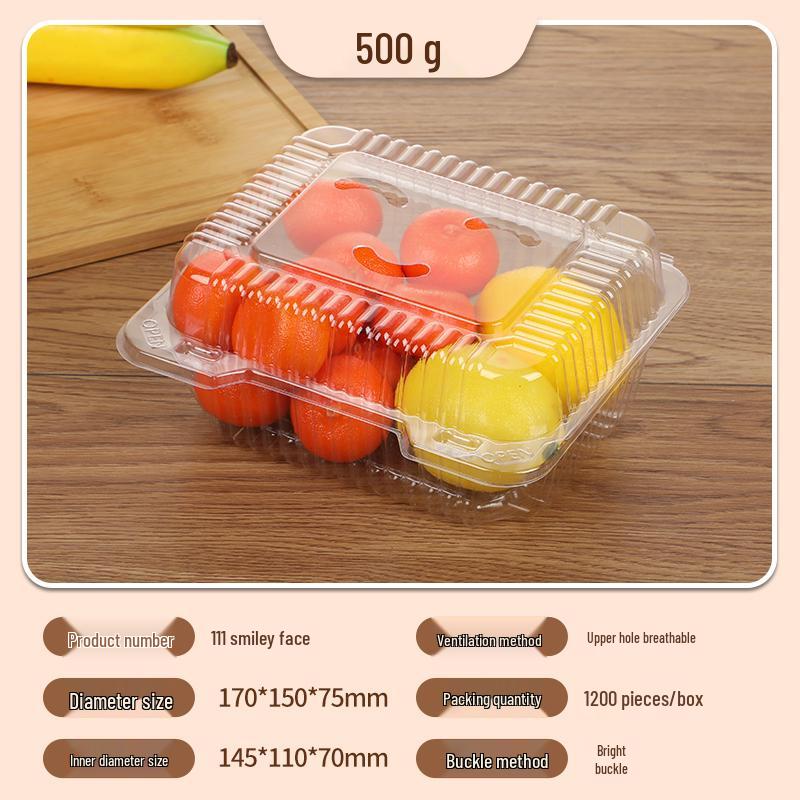 Portable Disposable Transparent Plastic Rectangular Fruit Packaging Box with Lid
