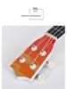 Beginner 21-Inch Children's Ukulele - Early Education Small Guitar