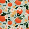 Outdoor Dekostoffe Oxford - Motiv Obst | Dx6468