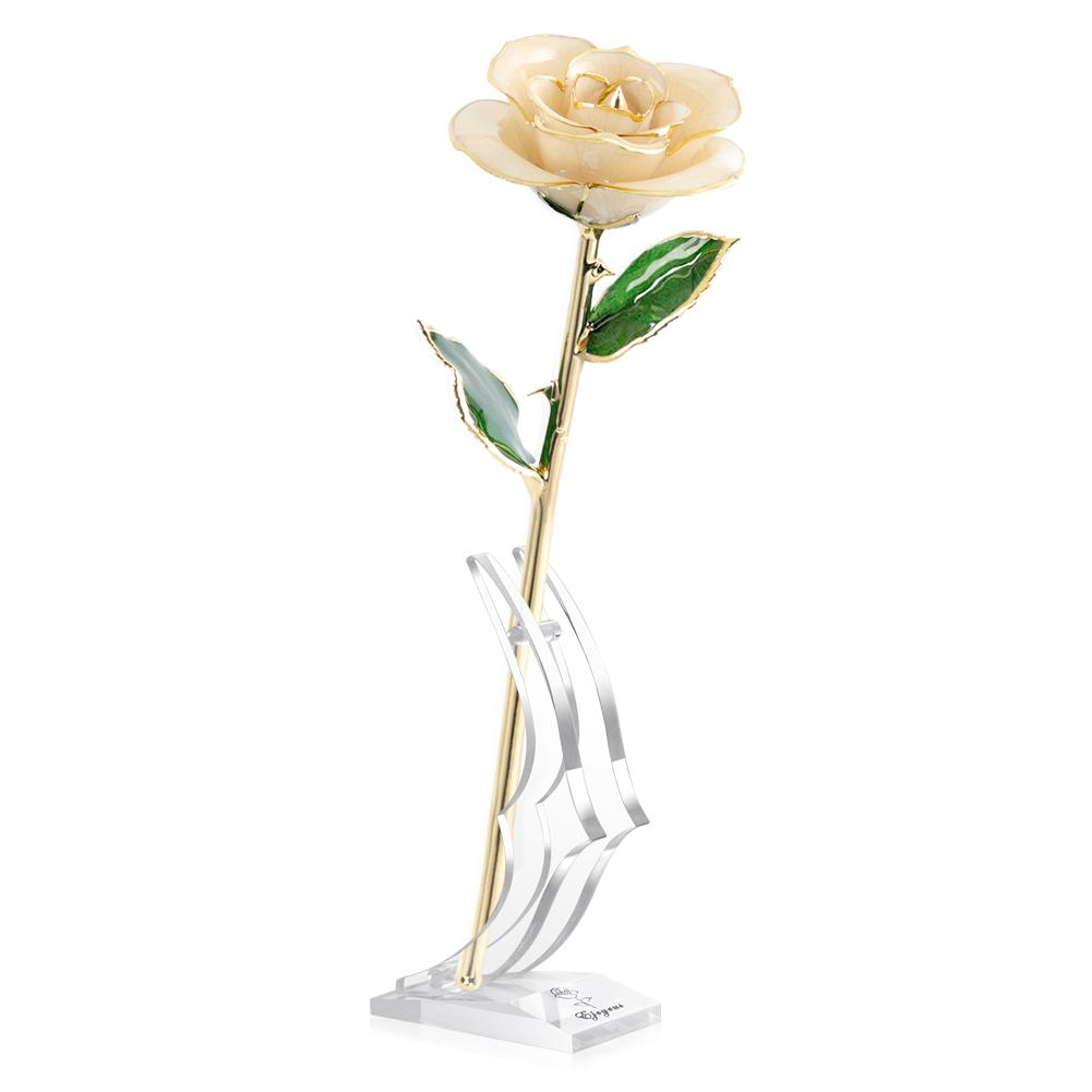

Ejoyous 24K Gold Real Rose Plated with Rose Stand Ivory