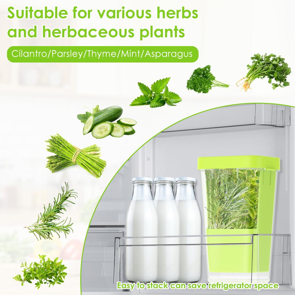 Fresh Herb Keeper for Refrigerator Clear Herb Storage Container for Cilantro, Parsley, Mint & Asparagus Preserver Vegetables