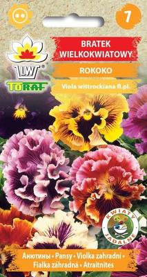 Großblumige Rokoko-Stiefmütterchen-Blumensamen für den Garten