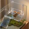 Turtle Basking Platform with Ramp Dry for Aquatic Turtles
