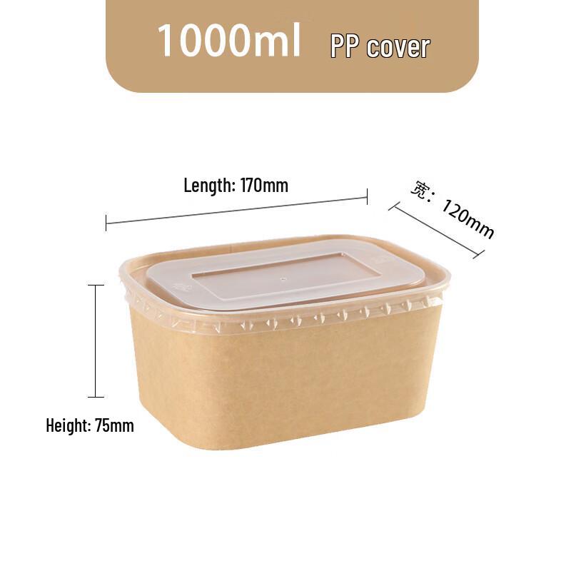 Kraft Paper Disposable Lunch Boxes for Picnic & Camping 1000ml