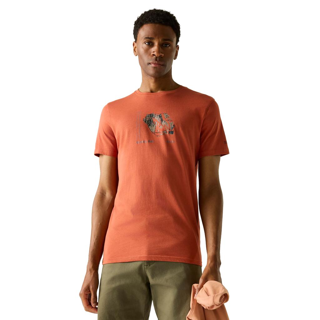 Regatta Mens Breezed Mountain Flow T-Shirt