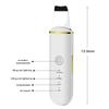 Ultrasonic Skin Scrubber Facial Ion Cleaning Vibrating Spatula To Blackhead Acne Exfoliating Facial Lifting Machine