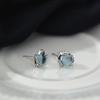 925 Sterling Silver Elegant Luxury Earrings for Women - Unique Niche Design