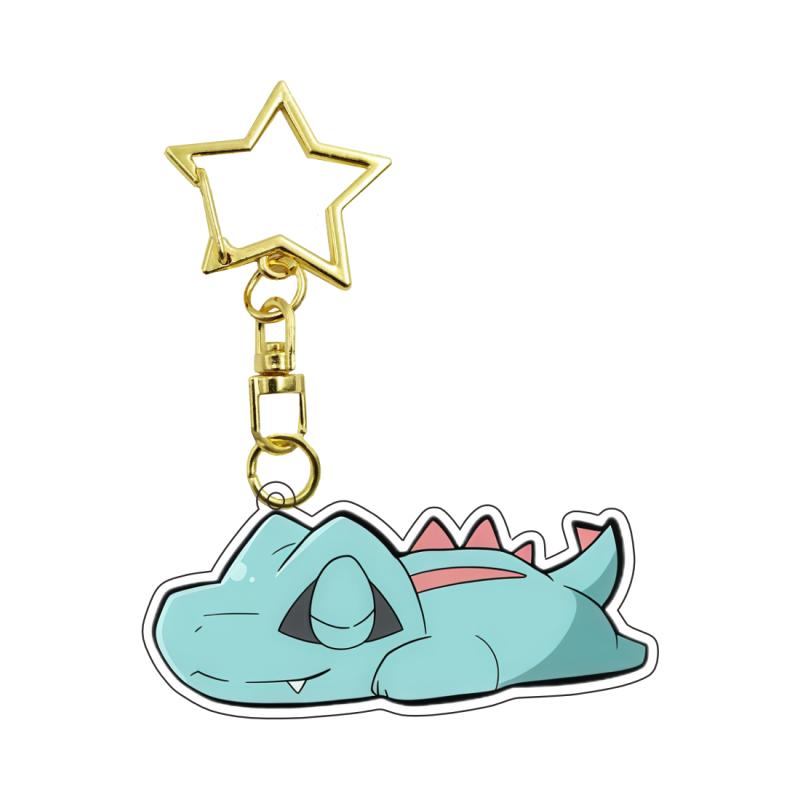 

Anime Acrylic Keychain for Torchic Rowlet Chikorita Cyndaquil Chespin Snivy Charmander Self-Made Acrylic Key Buckle Key Ring