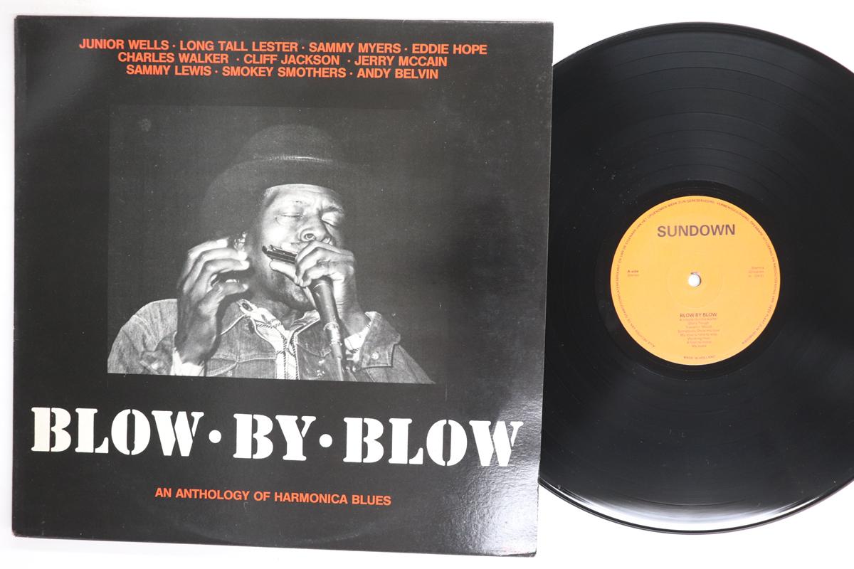 LP Record VARIOUS  Blow By Blow An Anthology Of Harmo CG70901 SUNDOWN Netherland Blues Used