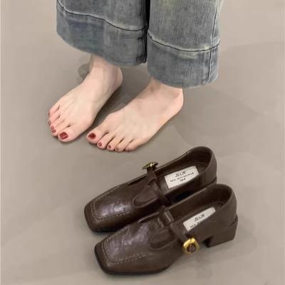 Retro Mary Jane Shoes Women's Spring 2025 New French Temperament Elegant Buckle Square Head Light Mouth Thick Heel Commuter Shoes