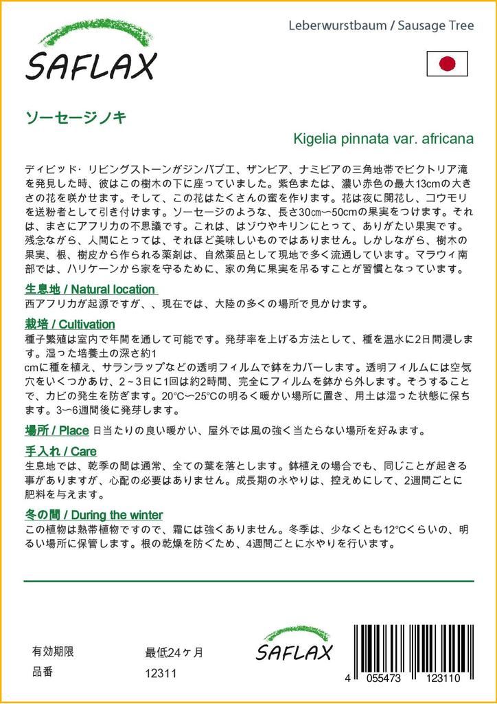 SAFLAX Sausage Tree - 10 Seeds - Kigelia Pinnata