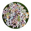 Kawaii Resin Bow Cabochon Flat Back Bowknot Charms Candy Color Bow Tie Embellishments Flatback Resin Charms for Hair Clips