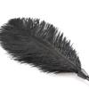BDSM Feather Teaser Wand with Black Feathers Soft Sensual Tickler for Couples' Foreplay & Roleplay Lightweight Discreet Adult Toy for Intimate Play &
