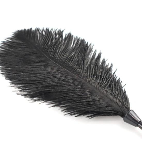 BDSM Feather Teaser Wand with Black Feathers Soft Sensual Tickler for Couples' Foreplay & Roleplay Lightweight Discreet Adult Toy for Intimate Play &