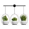 1 Set Hanging Flower Pots Wall Mounted Plant Hanger Hanging Planter Set Includes Metal Rod 3 Planters Ropes for Windows Ceilings Walls Garden Decor