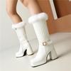 Women's High Heel Boots Autumn and Winter New Waterproof Platform Thick Heel Large Size Plush Mid-calf Boots