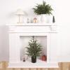 Artificial Norfolk Tree Potted Green Plant 17.7x23.6 Inch Realistic Undecorated Tabletop Christmas