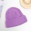 Hat for Women In Winter Light Plate Warm Solid Color Knitted Hat Korean Style Student Cute Couple Melon Skin Landlord Wool Hat Men