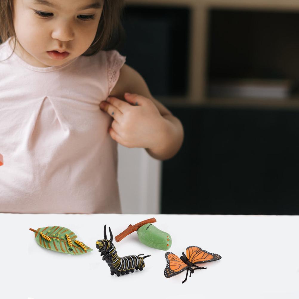 Growth Cycle Model Realistic Life Cycle Animal Models Child Imagination Toys Teaching and Learning