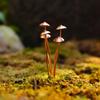 Rustic Metal Mushroom Garden Stakes Unique Mushroom Ground Decoration  Outdoor Garden Bonsai Decor
