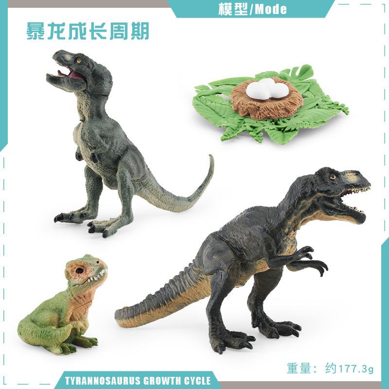Simulation Jurassic Dinosaur Growth Cycle Model Puzzle Cognition Pterosaur Tyrannosaurus Growth Process Static Ornament