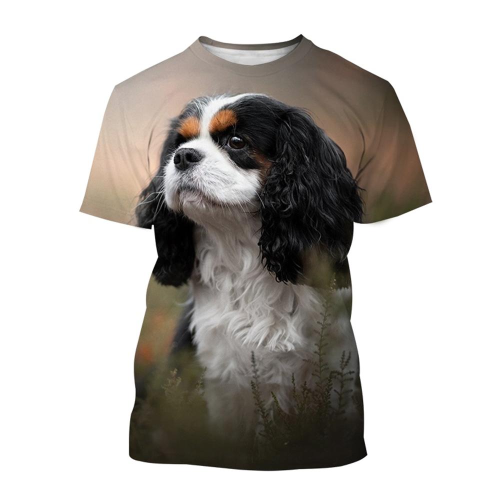 

Summer hot selling 3D printed T-shirt, beautiful knight dog, new fashionable and creative hip-hop casual short sleeved shirt 6XL