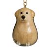 Dog Hair Memorial Keepsake Capsule Puppy Hair Collector Keychain Ornament Pet Hair Memorial Box Pet Fur Souvenirs Boxes
