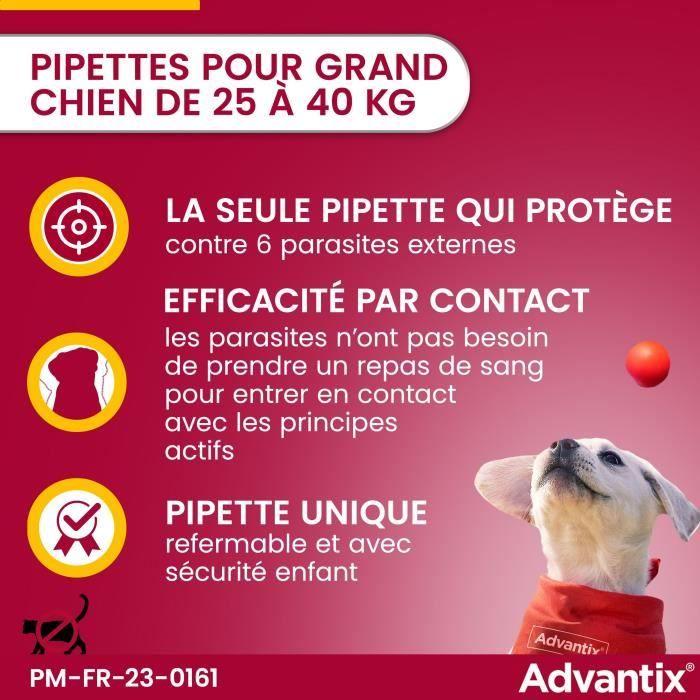 Advantix Chien Solution Antiparasitaire Grande Race 25 à 40kg 4 pipettes