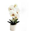 Artificial Orchid Potted Plant Realistic Design Soft Glue Flower for Home Office Event Decor White Pink Black Options