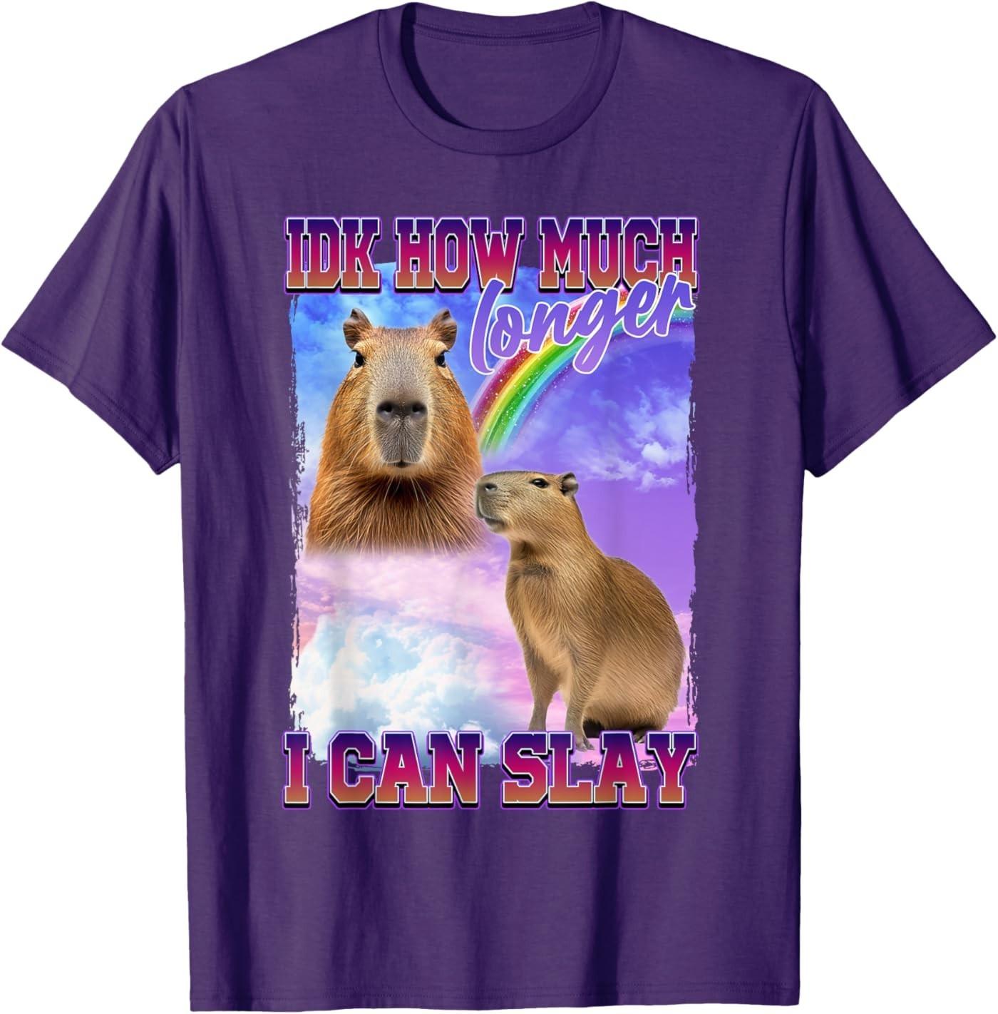 IDK How Much Longer I Can Slay Capybara T-Shirt S