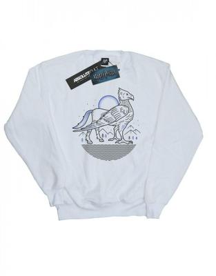 Överdelar (Pojkar från 4 år) – Luvtröjor, tröjor och sweatshirts