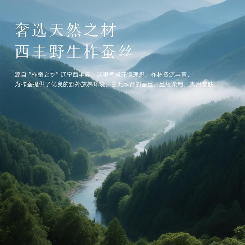 Mengjie Home Textile Class A Antibacterial 100% Silk Quilt