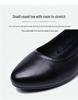 Spring/Summer Low Heel Work Shoes for Middle-Aged & Elderly Women - Soft Sole, Professional Leather Shoes for Hotel & Flight Attendant Use.