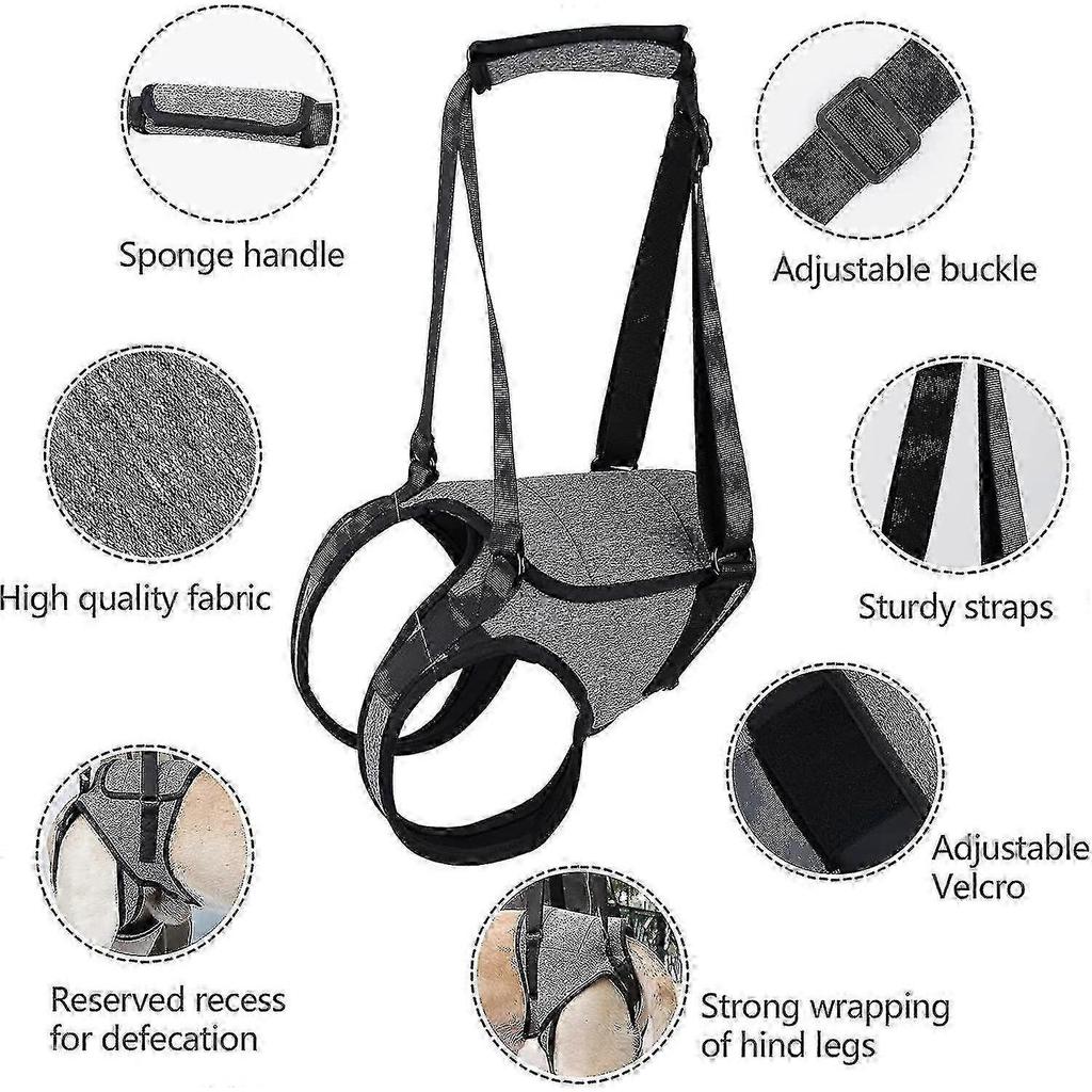 Dog Lifting Harness, Dog Support Harness For Back Legs, Soft Dog Support Sling For Injured Disabled Dogs