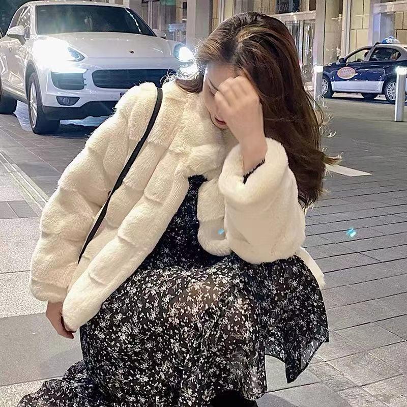 Imitation Mink Fur Coat Women's Winter New Loose Furry Short Thickened Stand-up Coat