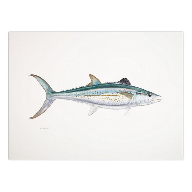 Decorative Painting Retro Fish Restaurant Hotel Paintings Animal Print Wall Pictures for Living Room Flatfish Wall Art Canvas